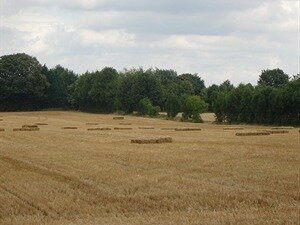 Suffolk Farmland